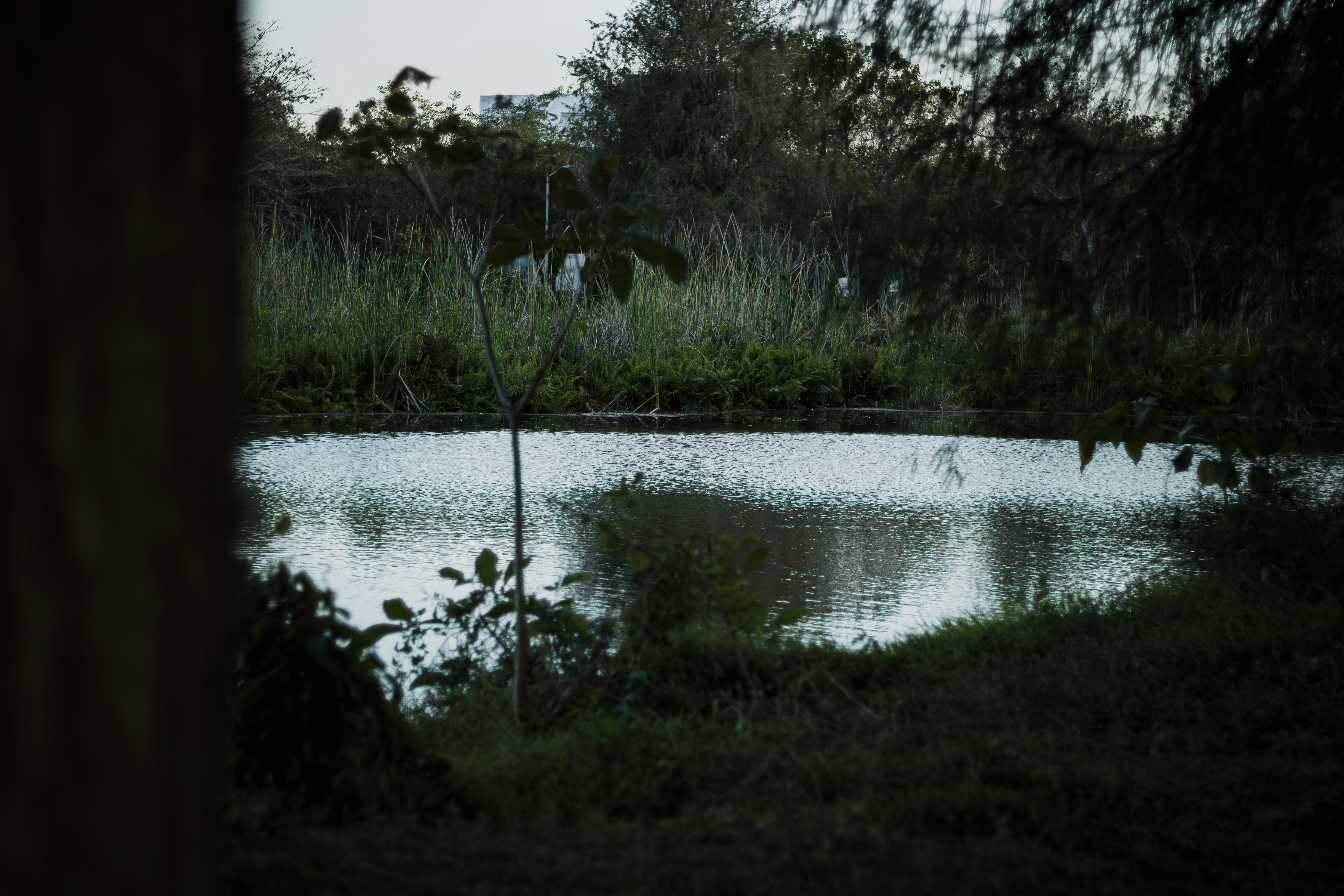 地獄蒸し釜から立ち上る湯気と、蒸し上がったカニや貝、野菜が並ぶ食卓</span></span>” class=”wp-image-479″/><span style=