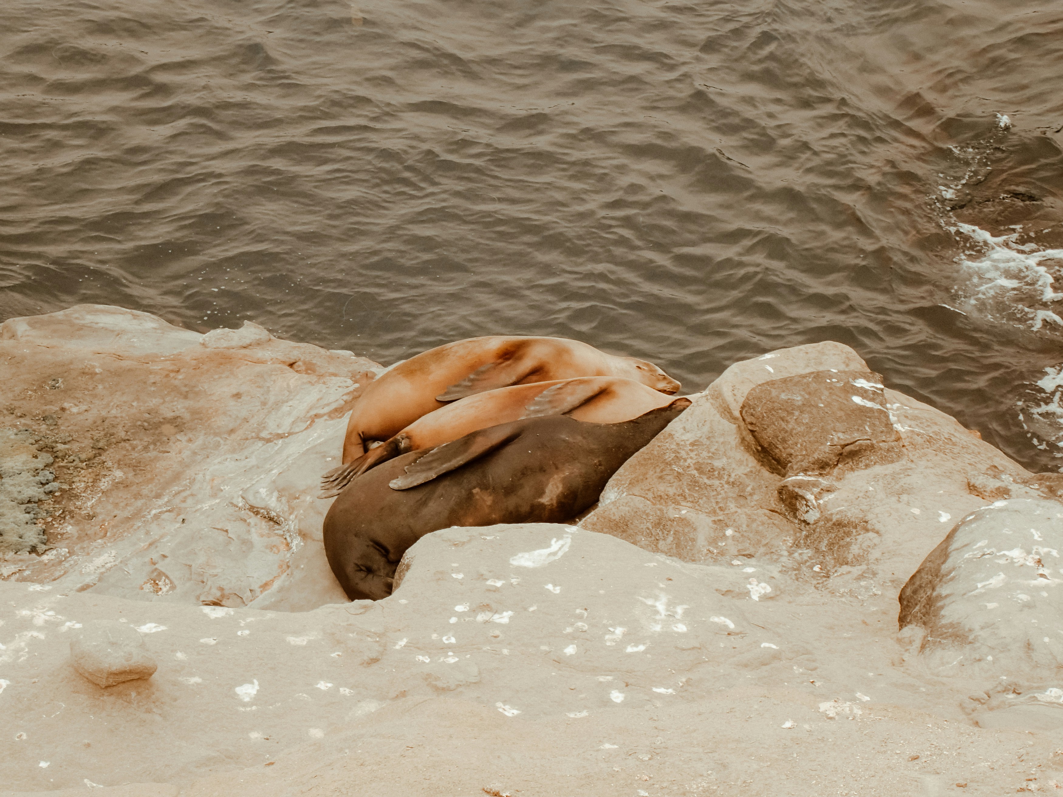 海を見渡せる露天風呂から夕暮れの海と空を眺めるシーン