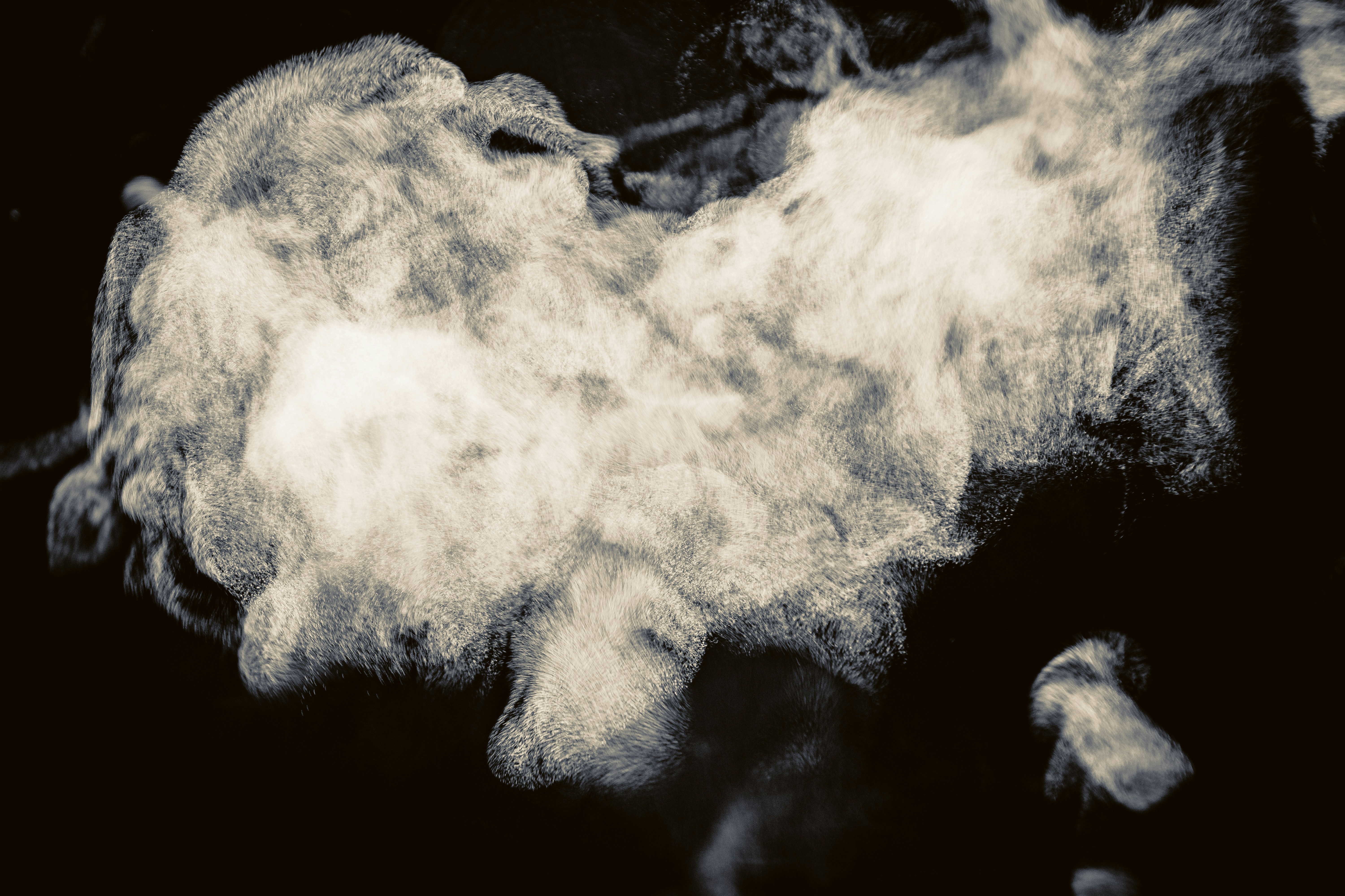 川沿いに立ちのぼる湯けむりと三朝温泉街の夕景