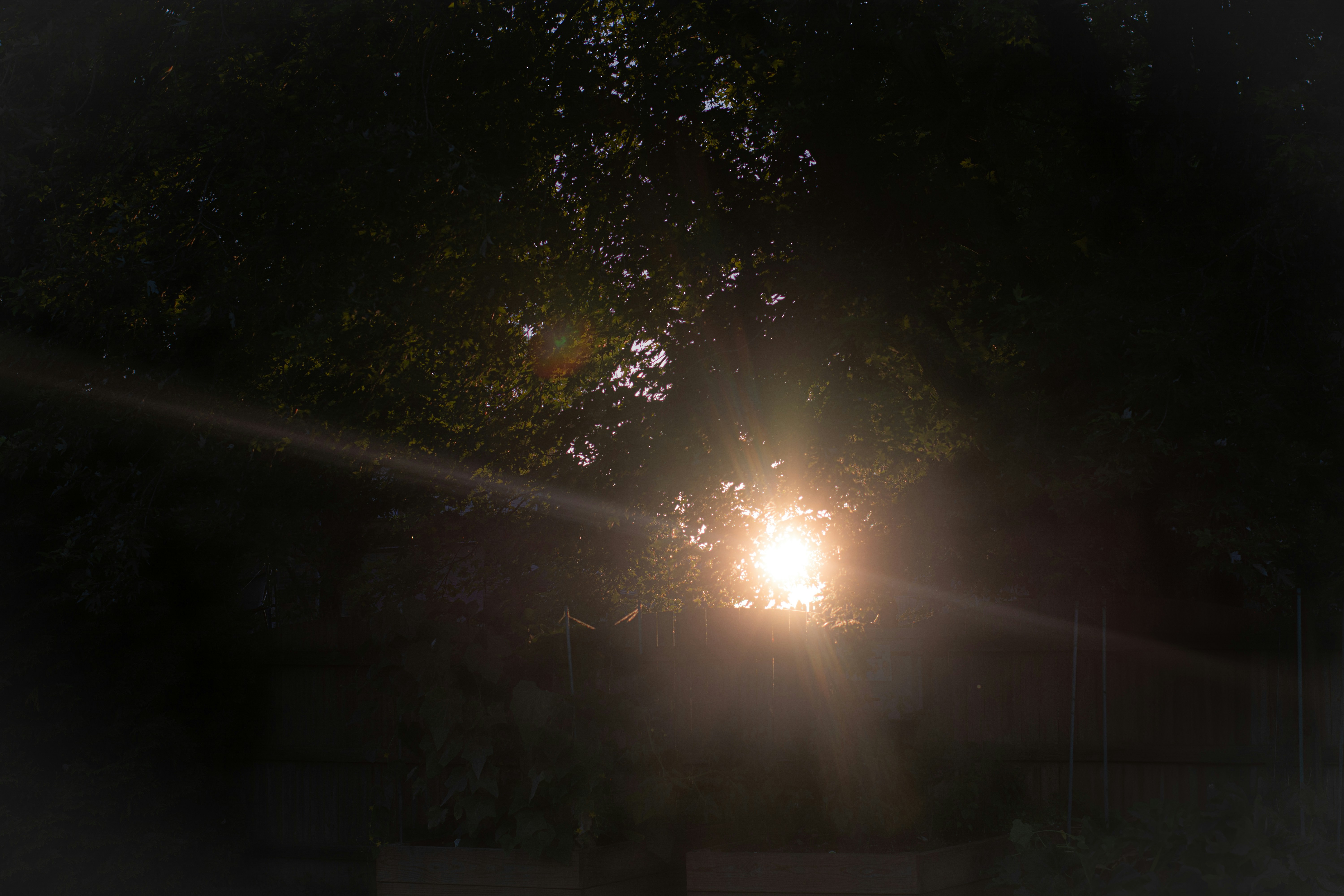 夕暮れ時の千畳敷に広がる赤く染まる空と海を背景に立つ人影