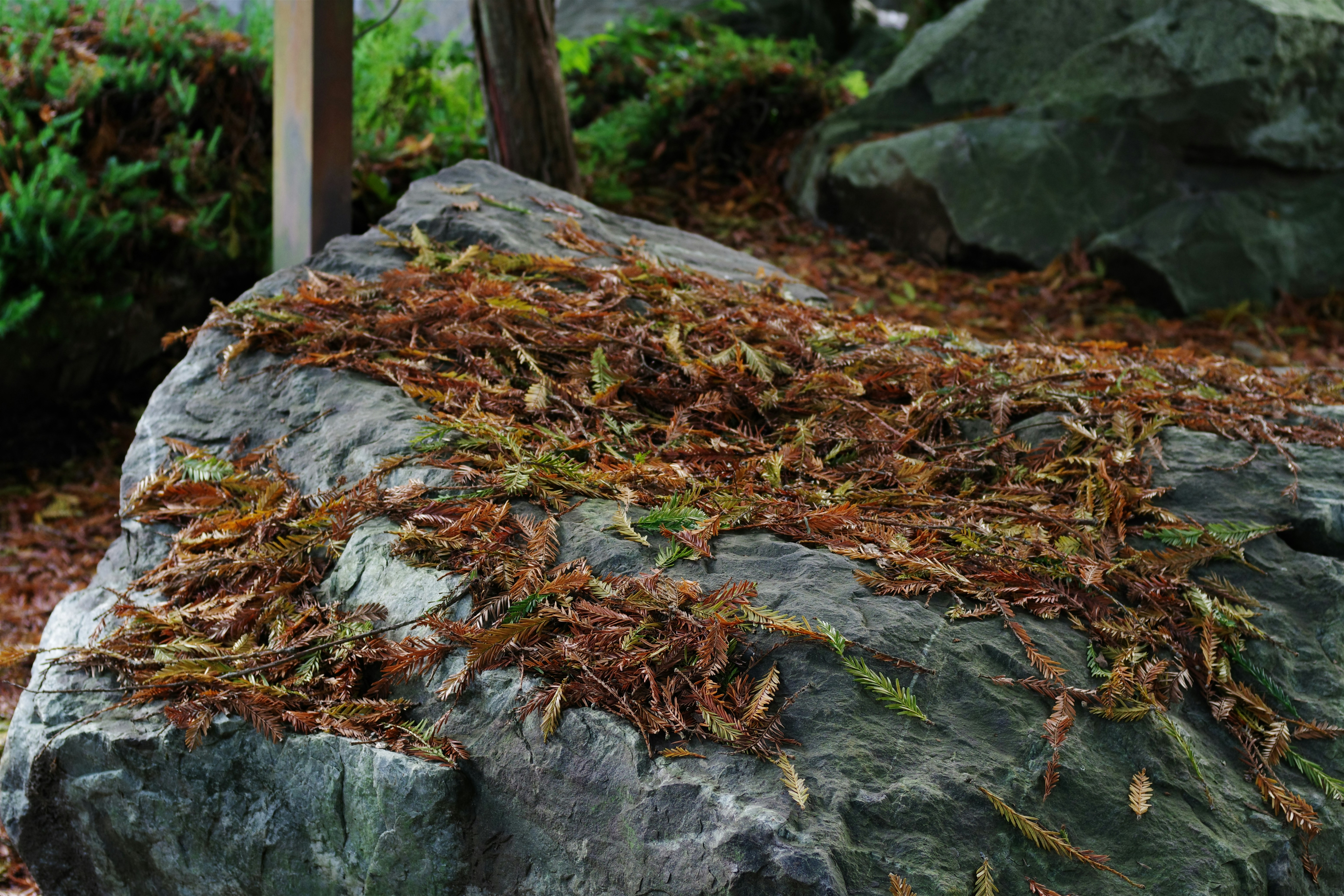 伊香保温泉の石段街に並ぶレトロな建物と提灯が灯る夕暮れの風景