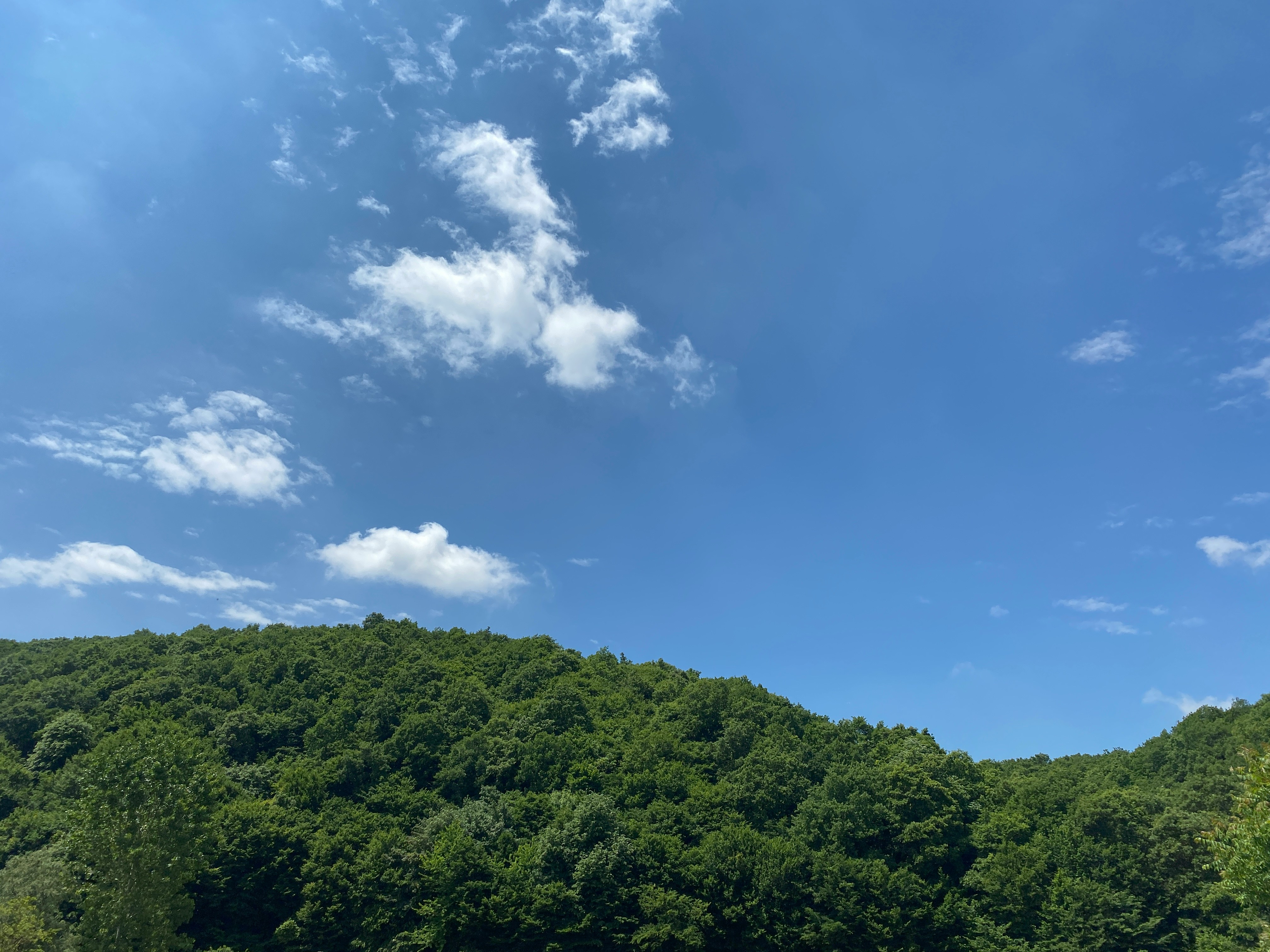 雪景色を望む露天風呂でくつろぐ様子