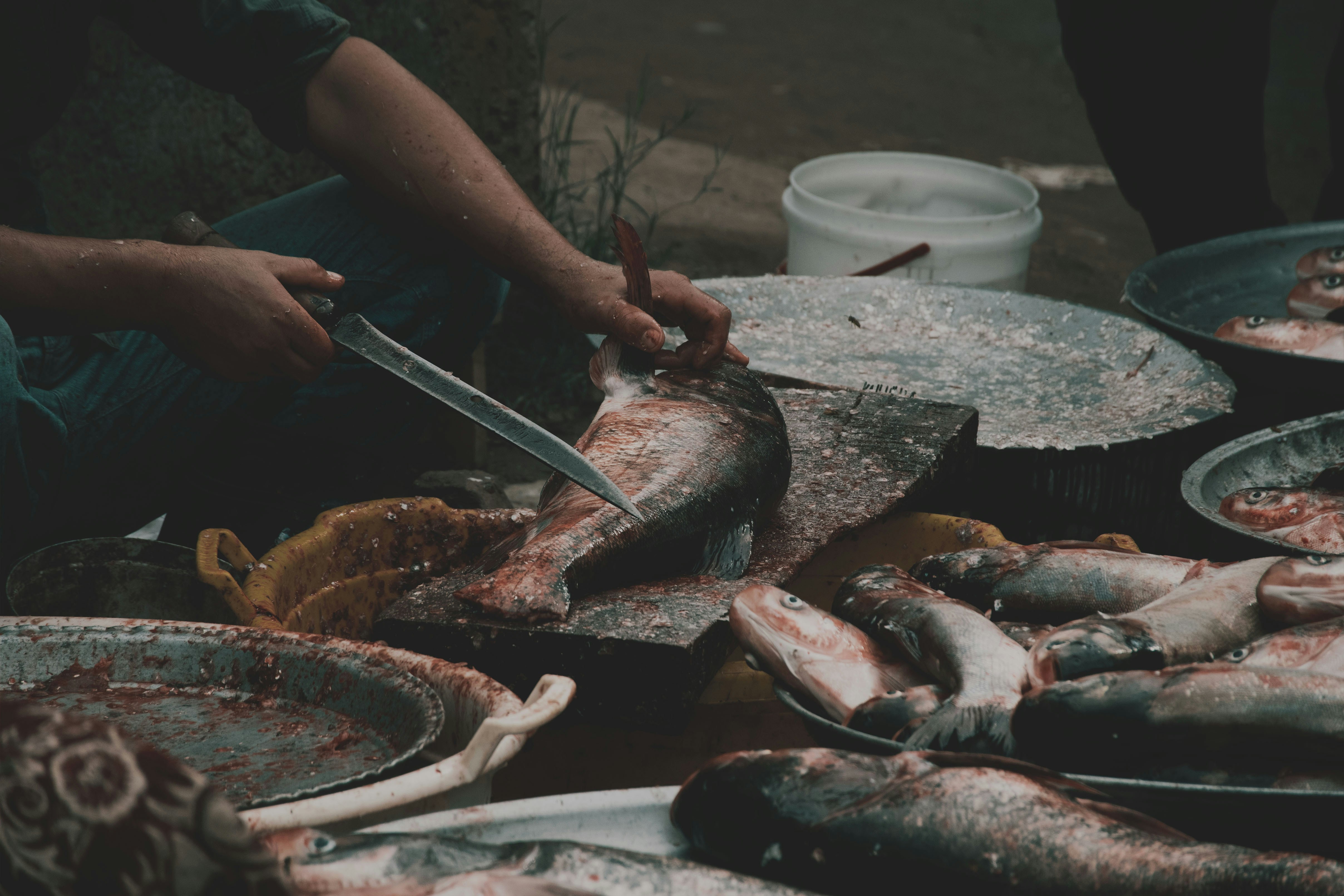 北海道産の毛ガニやホタテが並ぶ豪華な海鮮料理と登別牛乳プリン