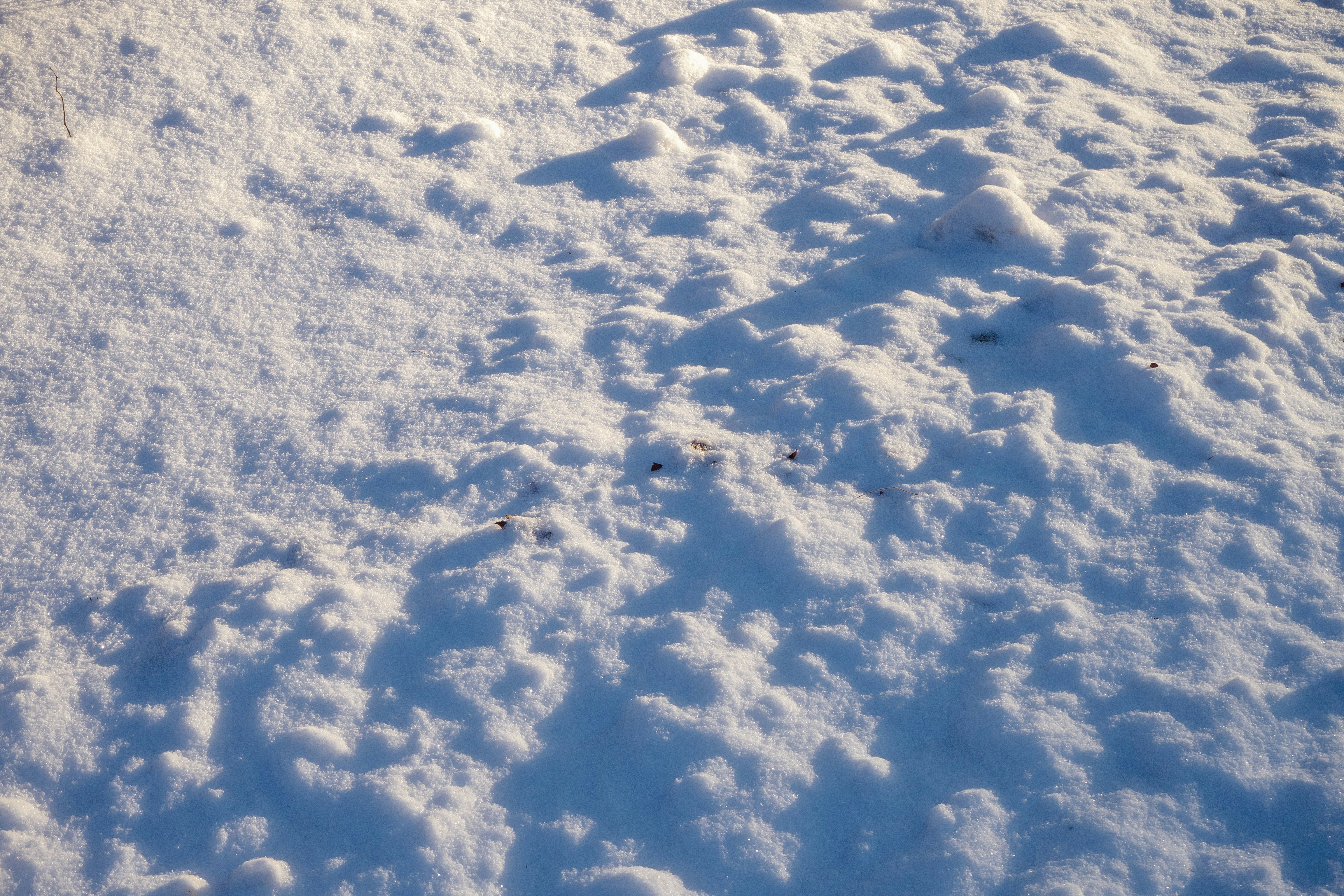 雪に覆われた森の中、湯けむり漂う露天風呂と入浴する人の後ろ姿