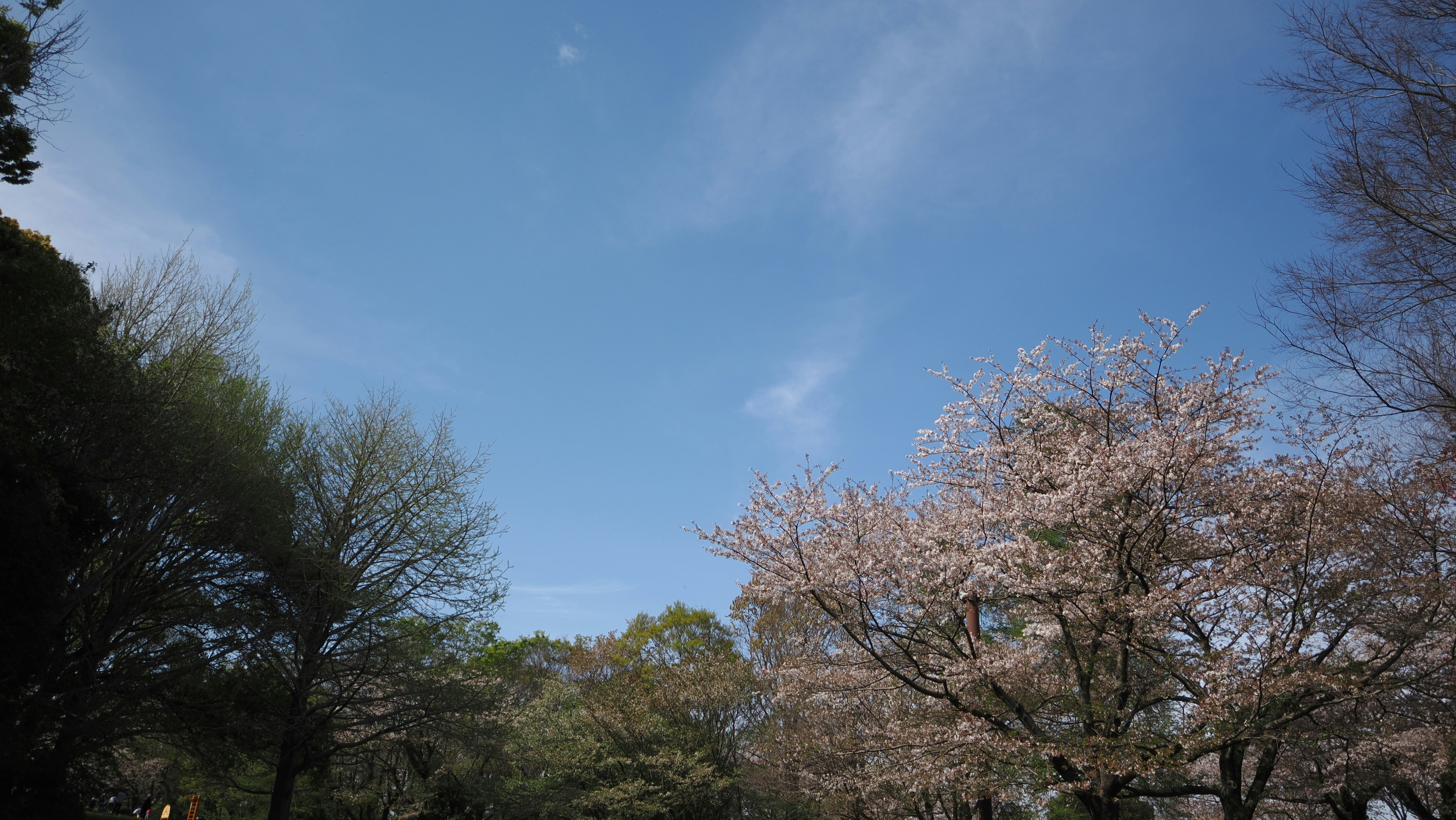 川沿いに湯けむりが立ち上る十津川温泉の露天風景と背後の山並み