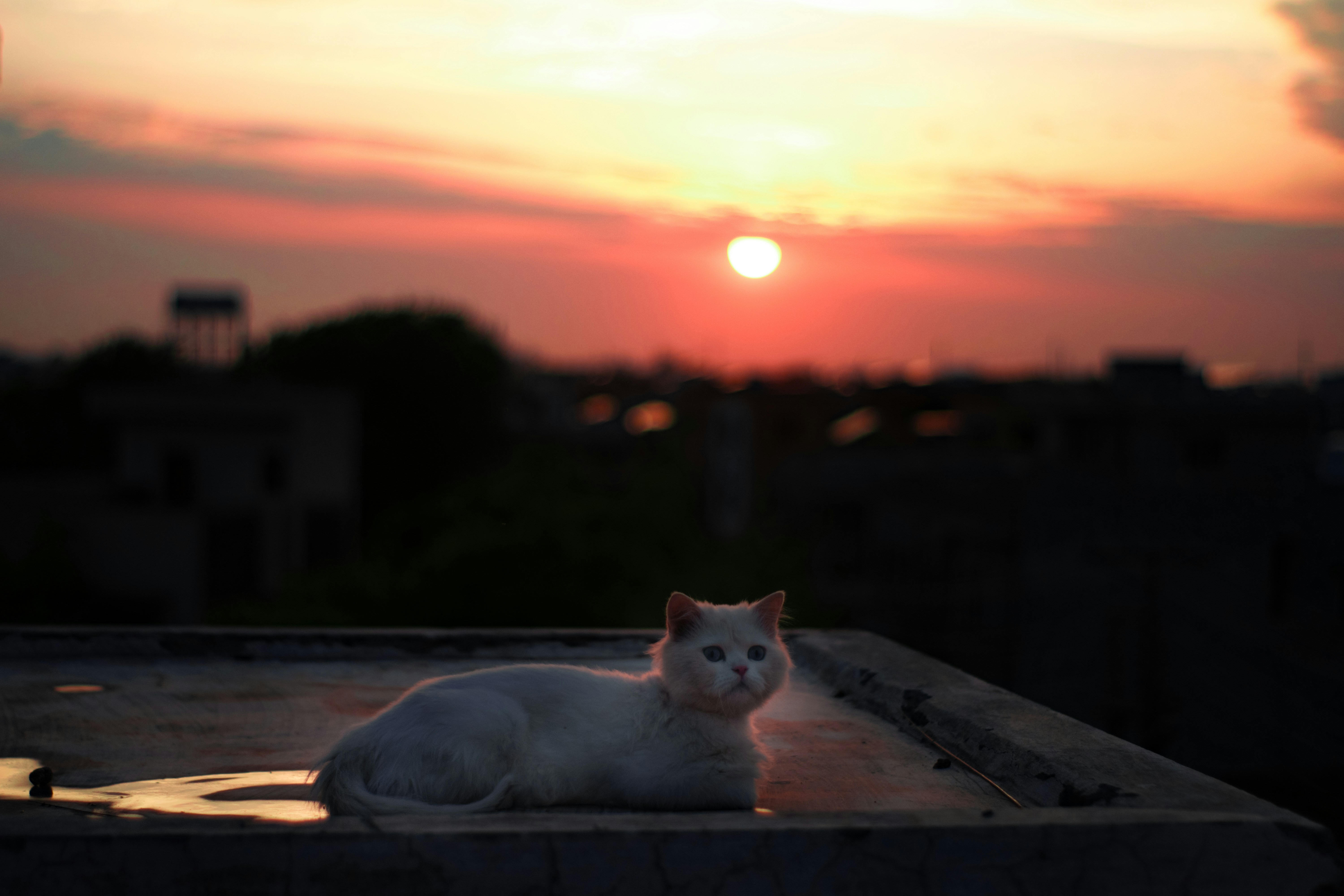 露天風呂から夕焼け空と山々を望む風景
