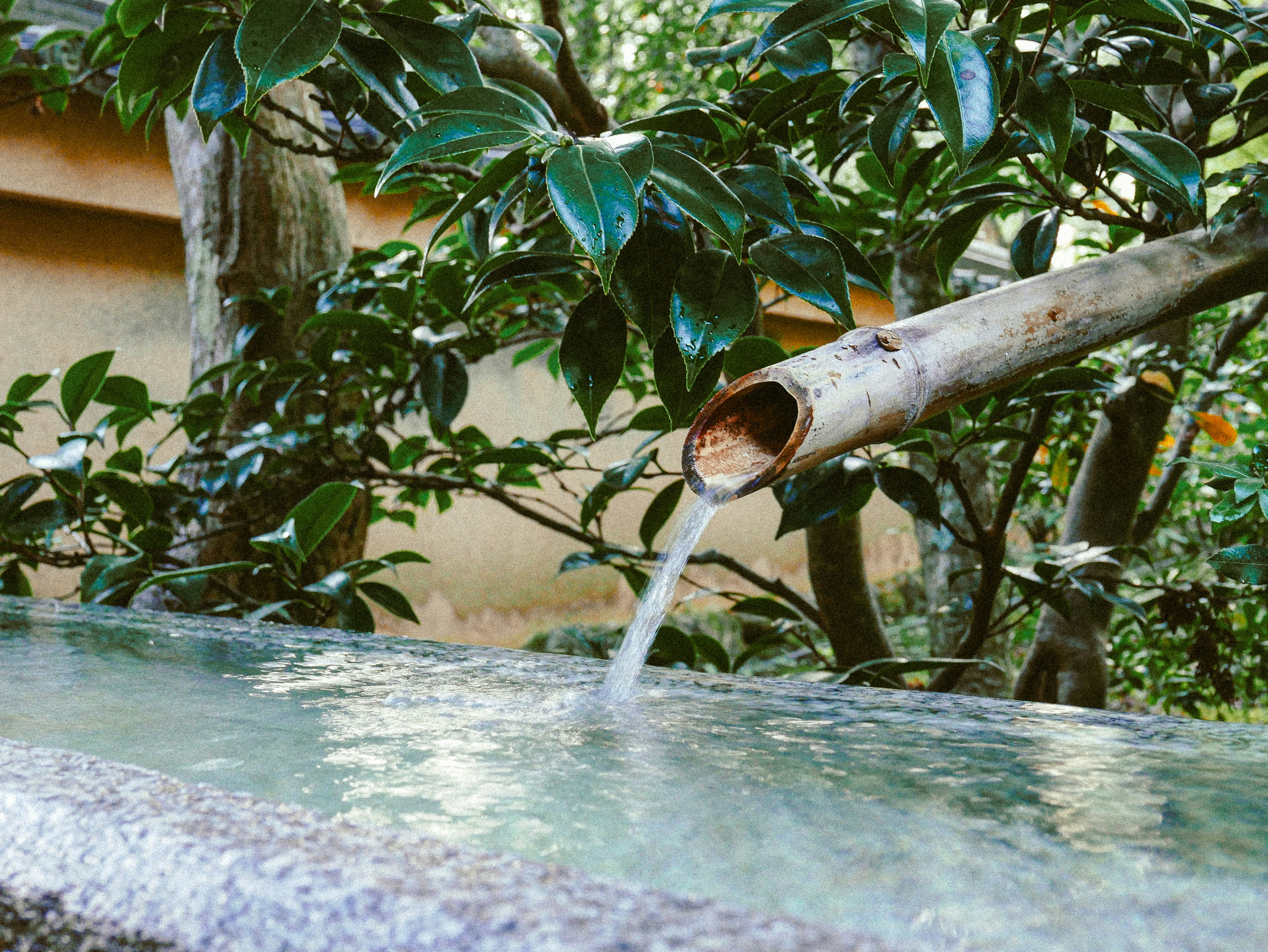 温泉の湧き出し口と、そこから伸びる配管の様子