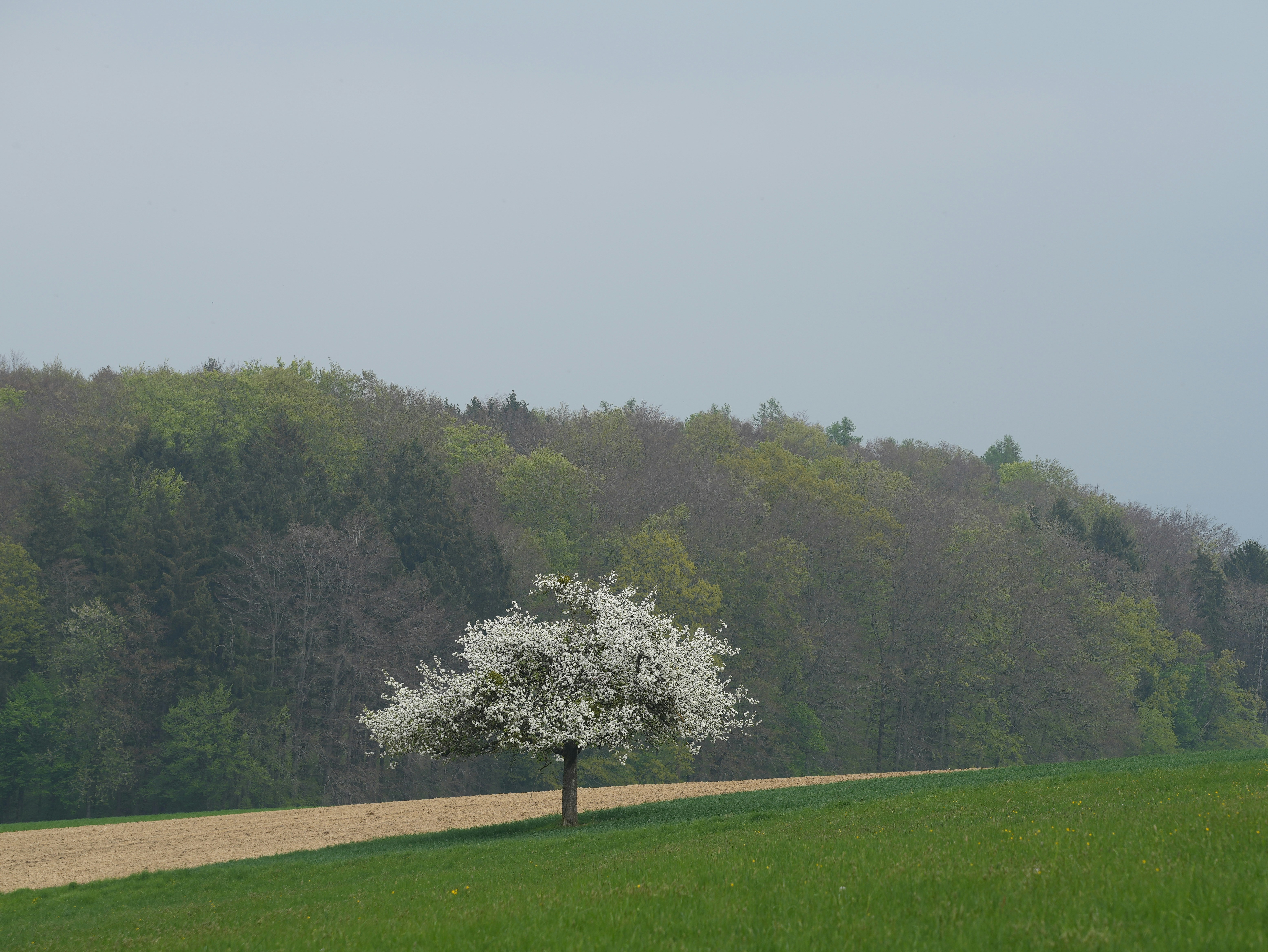 七里田温泉 下ん湯の浴槽内で炭酸の泡が肌に付着している様子