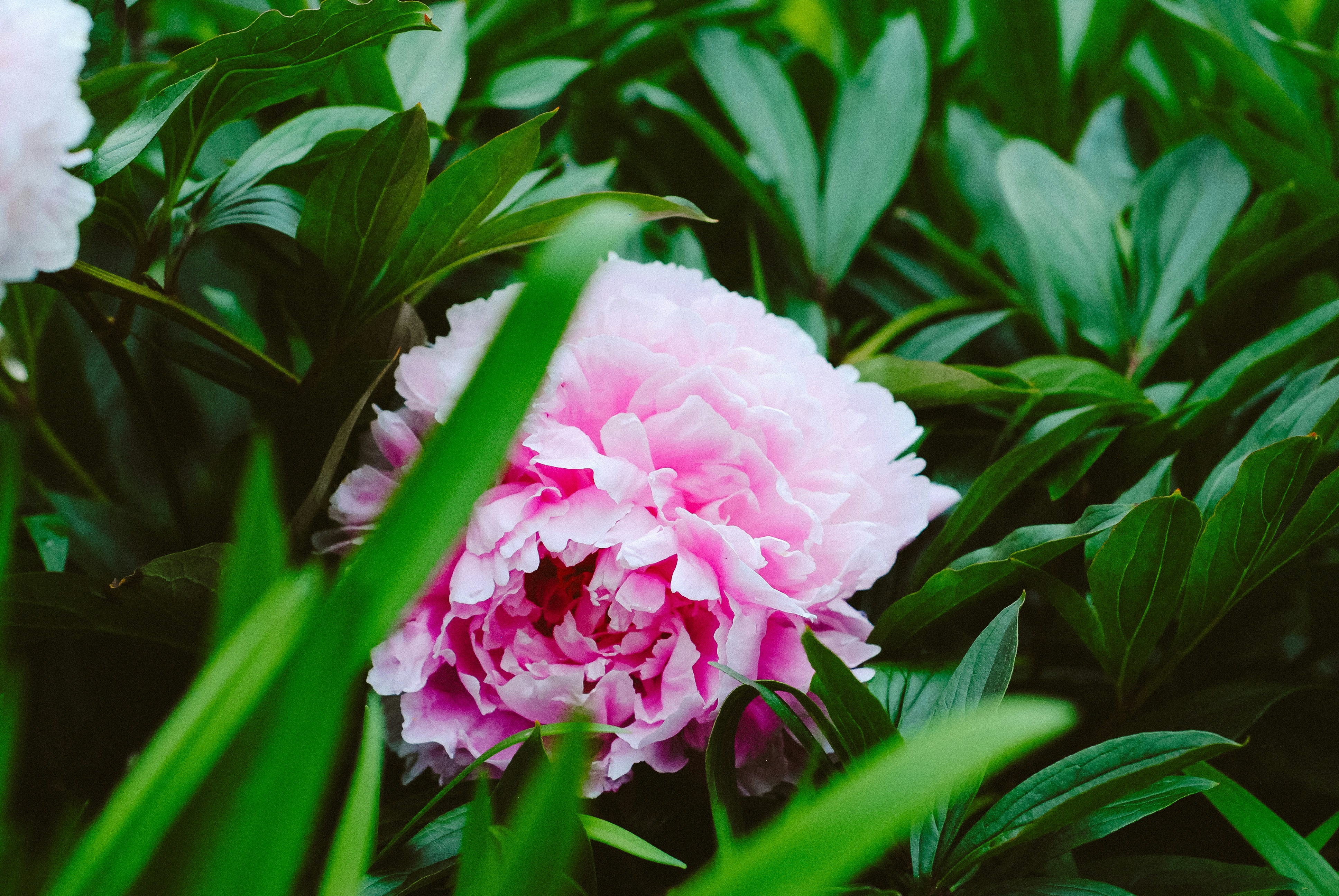 箱根湯寮の露天風呂の写真