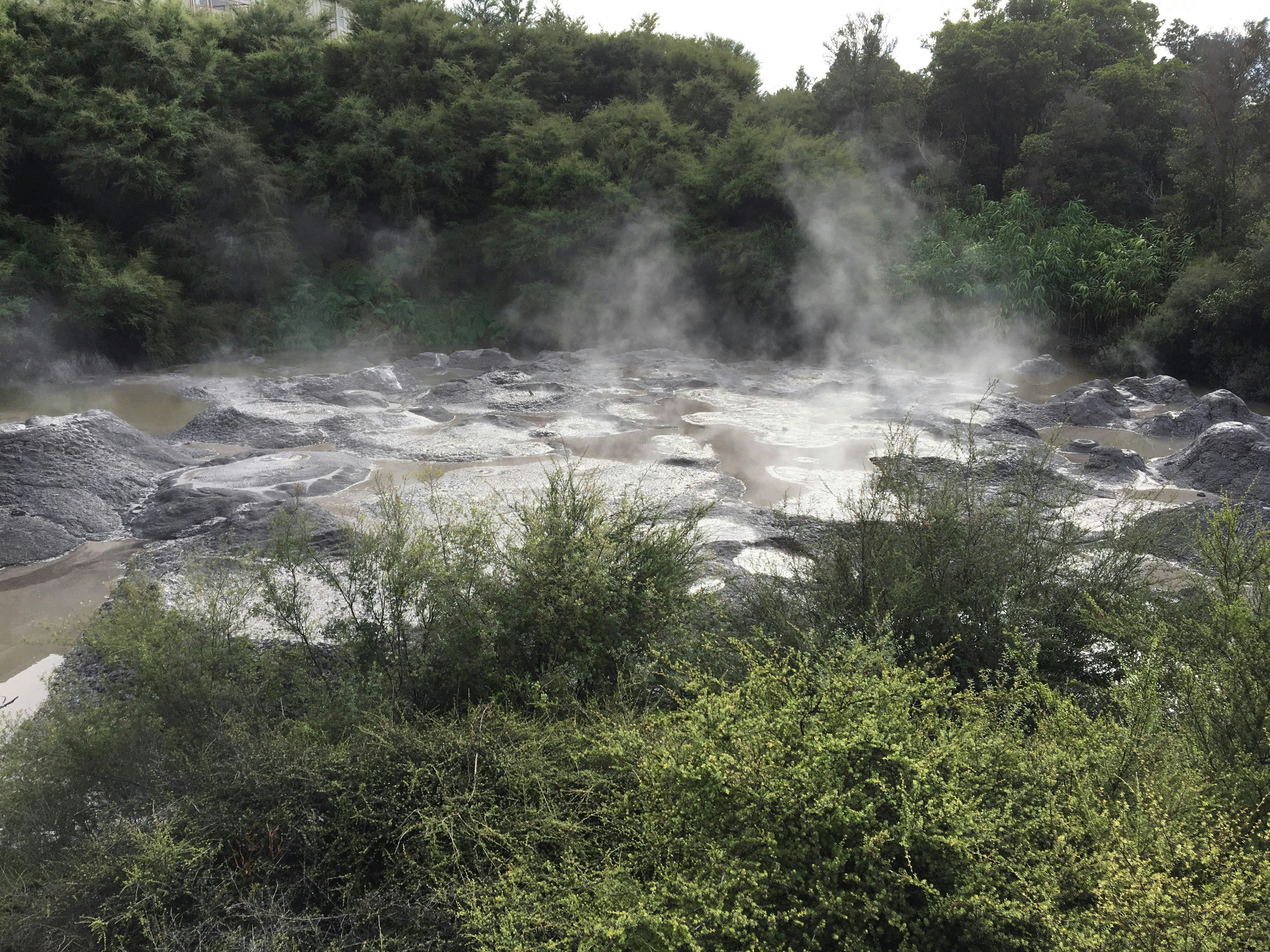 自宅のお風呂に温泉水が注がれ、湯気が立ち上っている様子