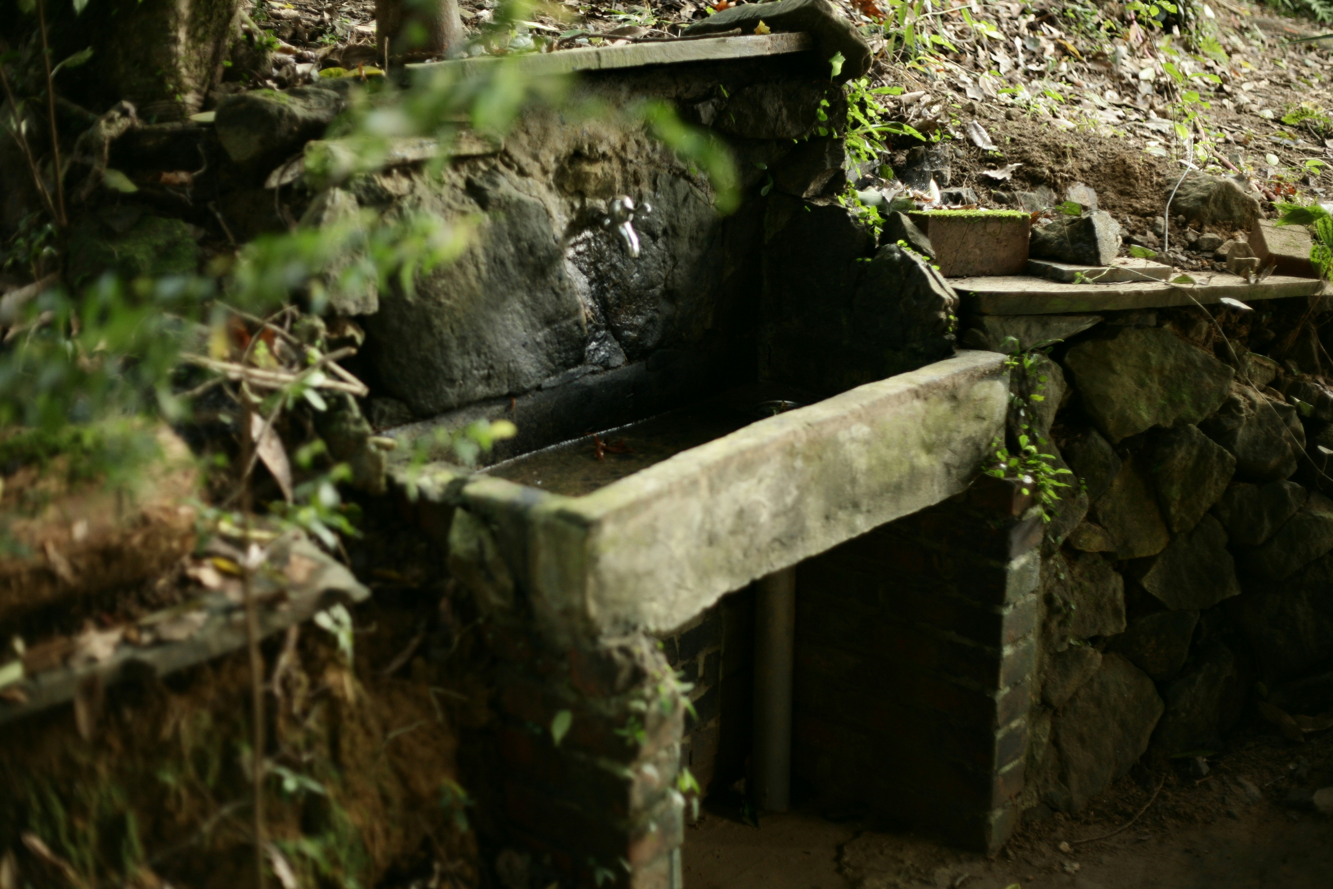 様々な種類の自宅温泉水のボトルが並んでいる様子